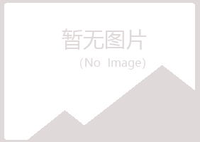 岳西县夏青工程有限公司